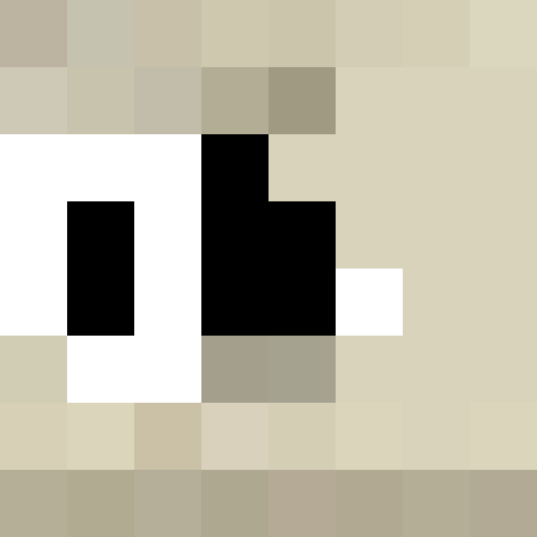 acin5's skin
