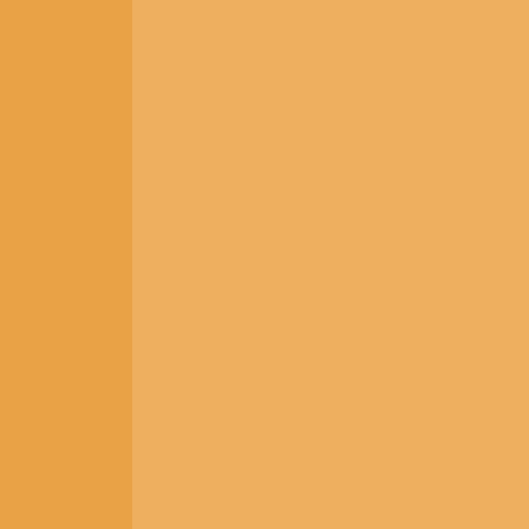 WebNX's skin