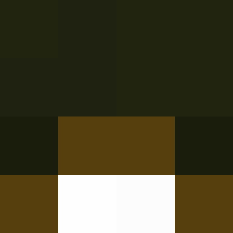 DonaldTrump42's skin
