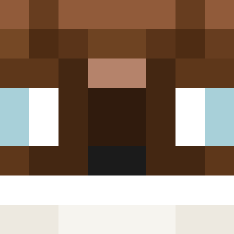 deminecrafterlol's skin