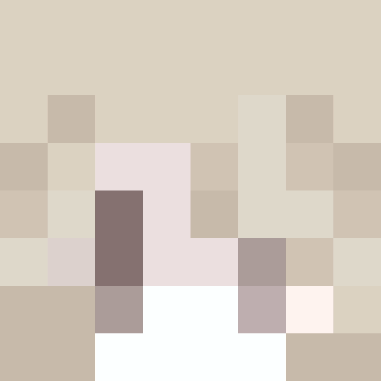 8aca680b22461340's skin