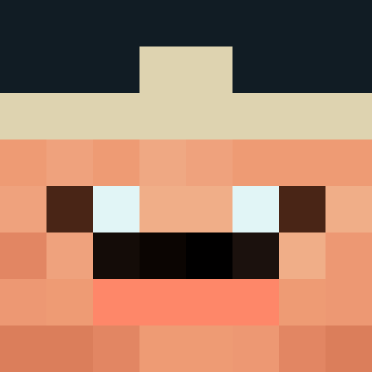 wiredframe's skin