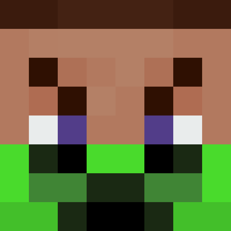 wiredframe's skin