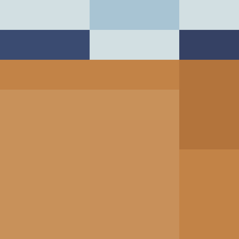 DargiV's skin