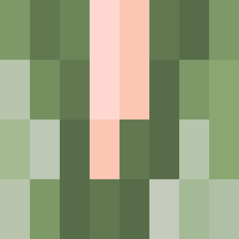 BradBot_2's skin