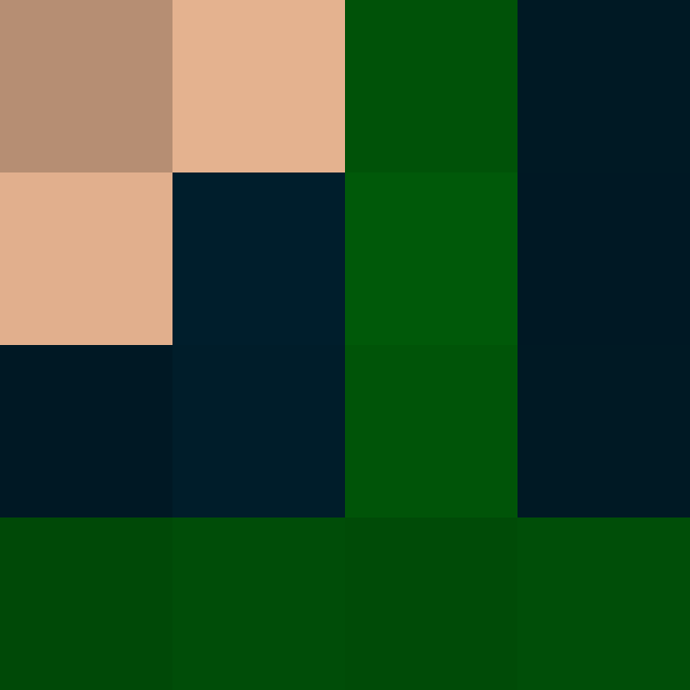 AutoSkin's skin