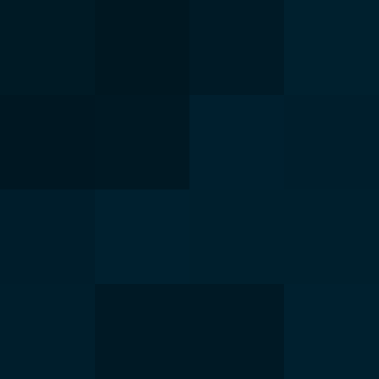 xentany's skin