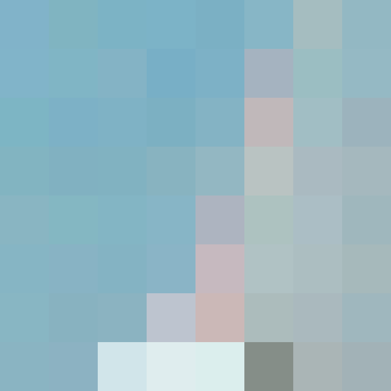 FartestSmella's skin