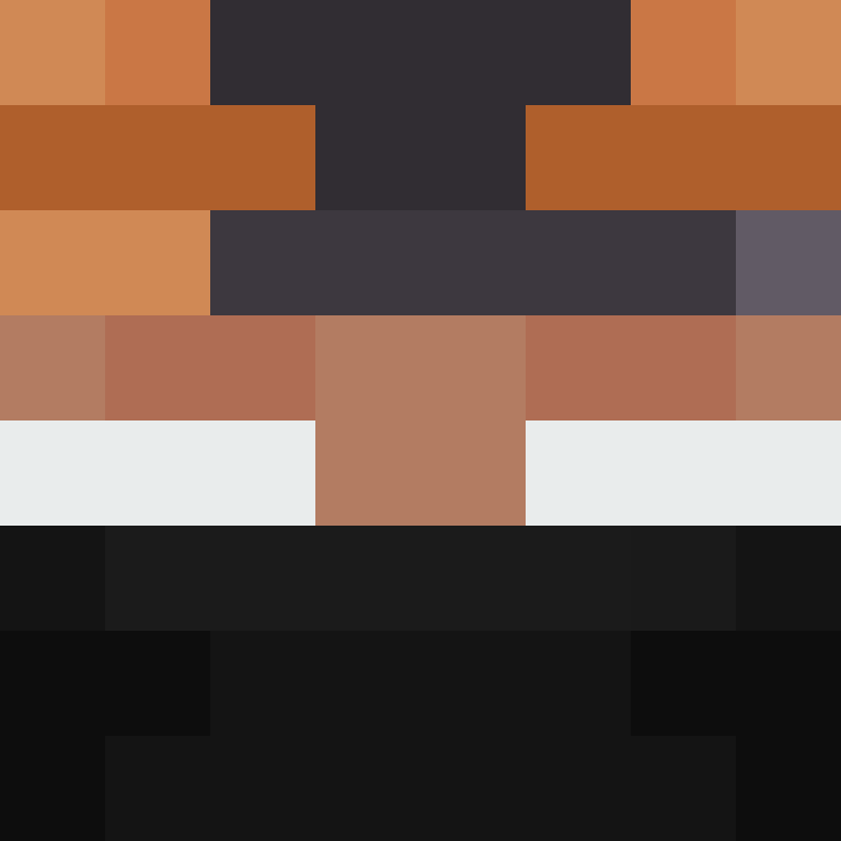wiredframe's skin
