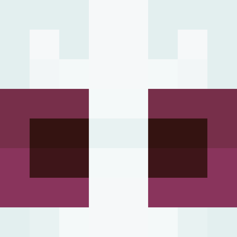 MHF_Mineskin's skin