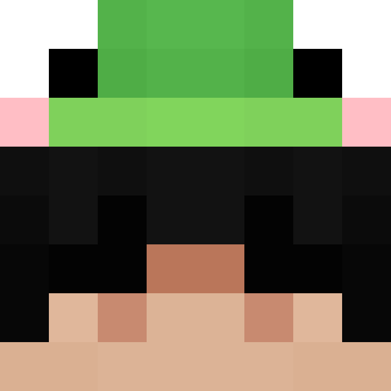 h4yl33's skin