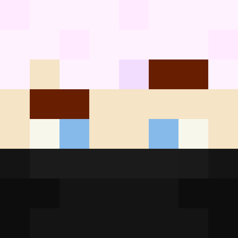 8aca680b22461340's skin