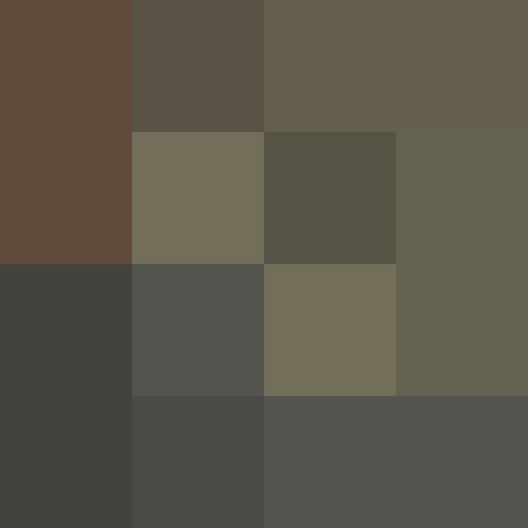zervation's skin