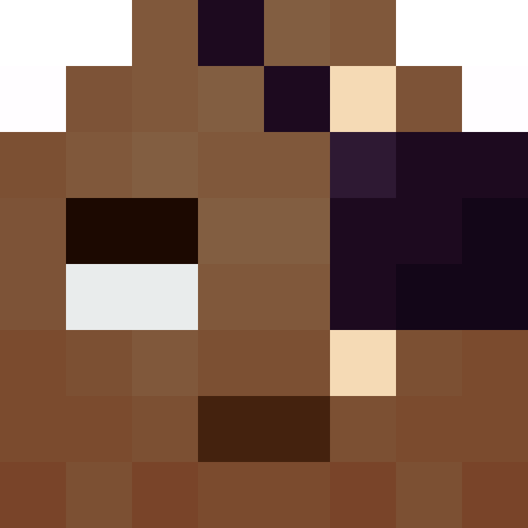 deminecrafterlol's skin