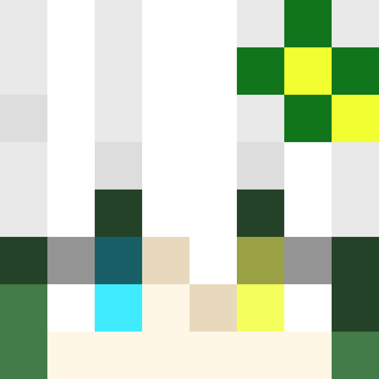 1etho's skin