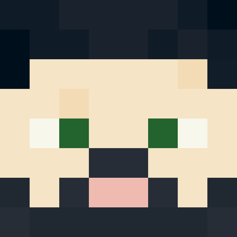 ThePenspinneur's skin