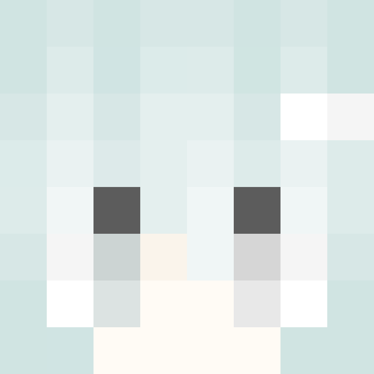 shamwr's skin