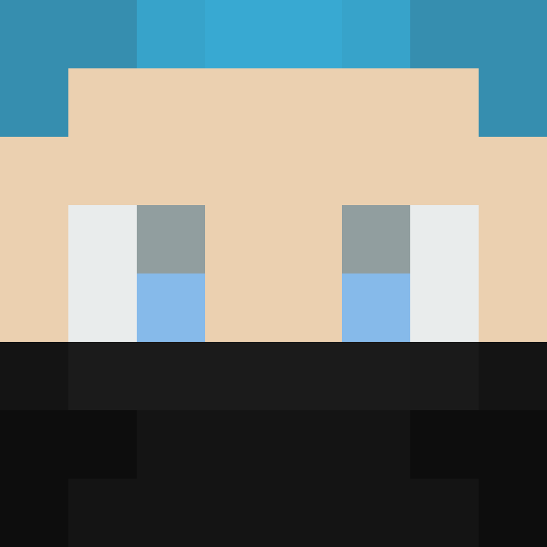 BukkitAPI's skin