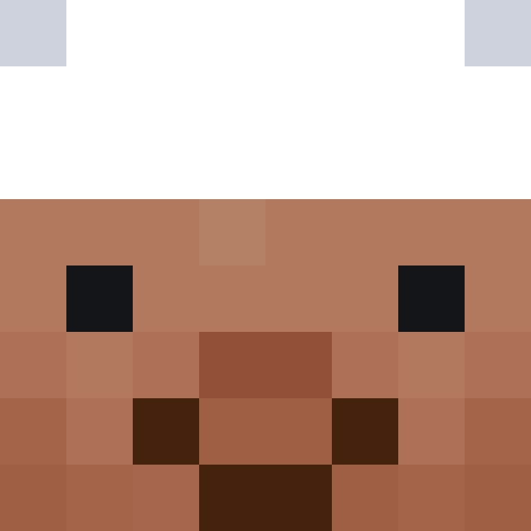 Ichiinn's skin
