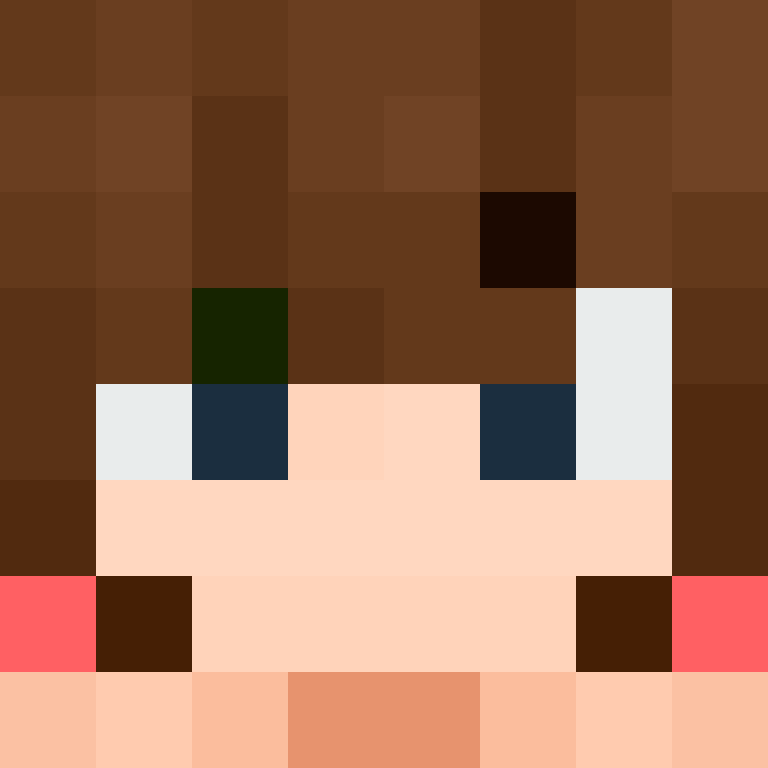 wiredframe's skin