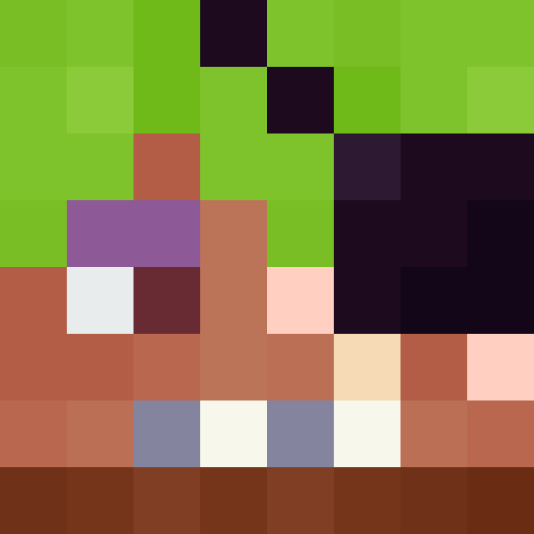 deminecrafterlol's skin