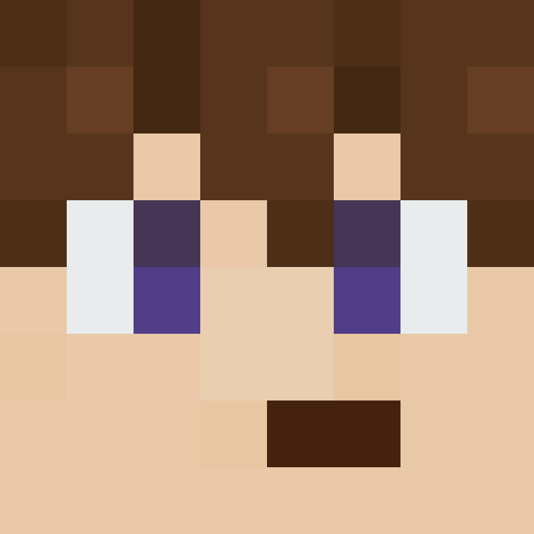 BukkitAPI's skin