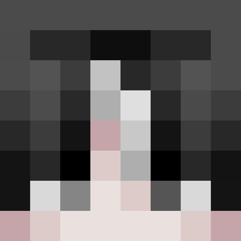 h4yl33's skin