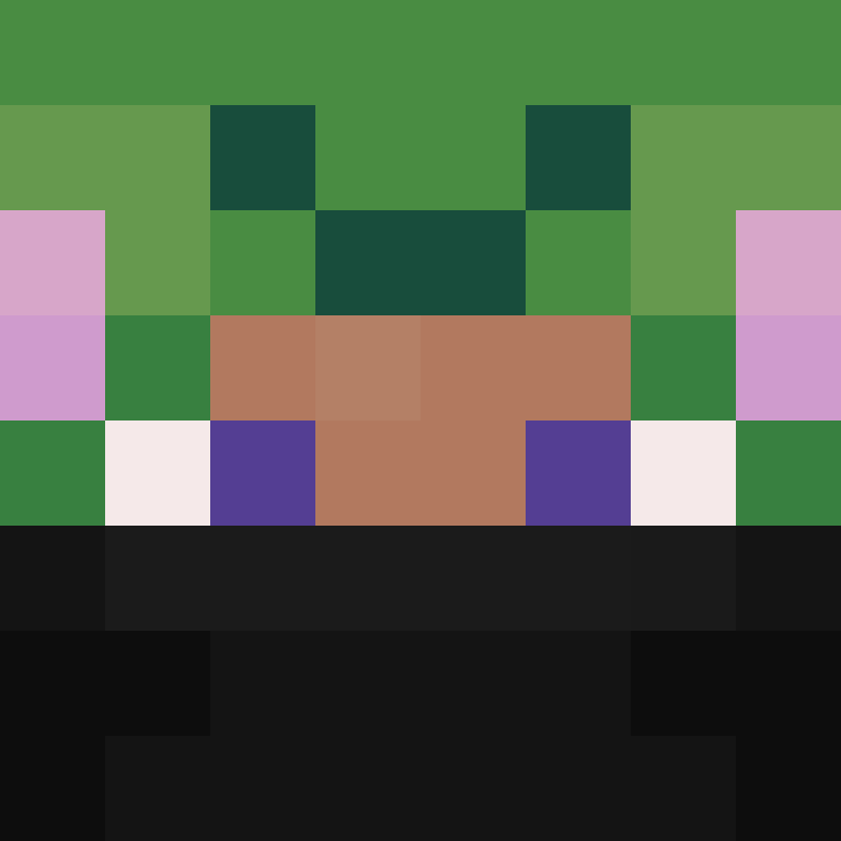 8aca680b22461340's skin