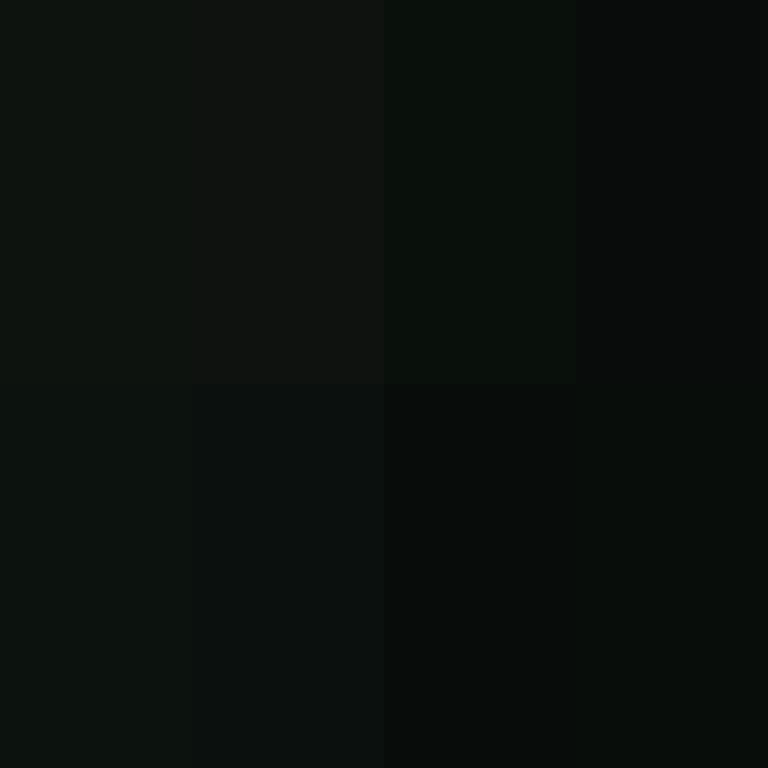 zervation's skin
