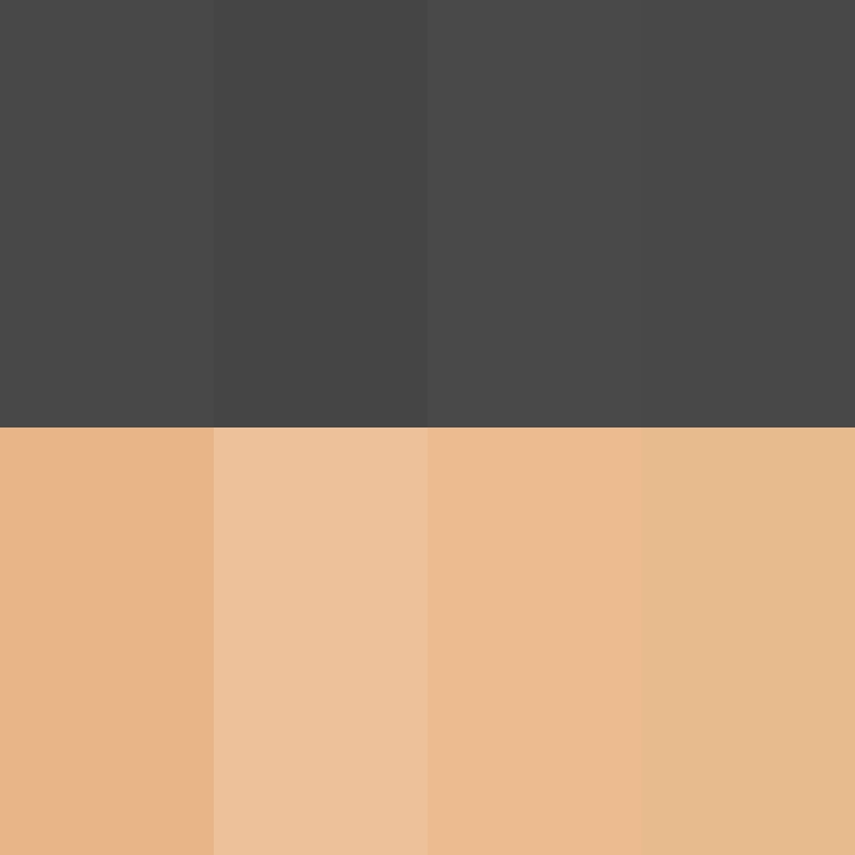 WebNX's skin
