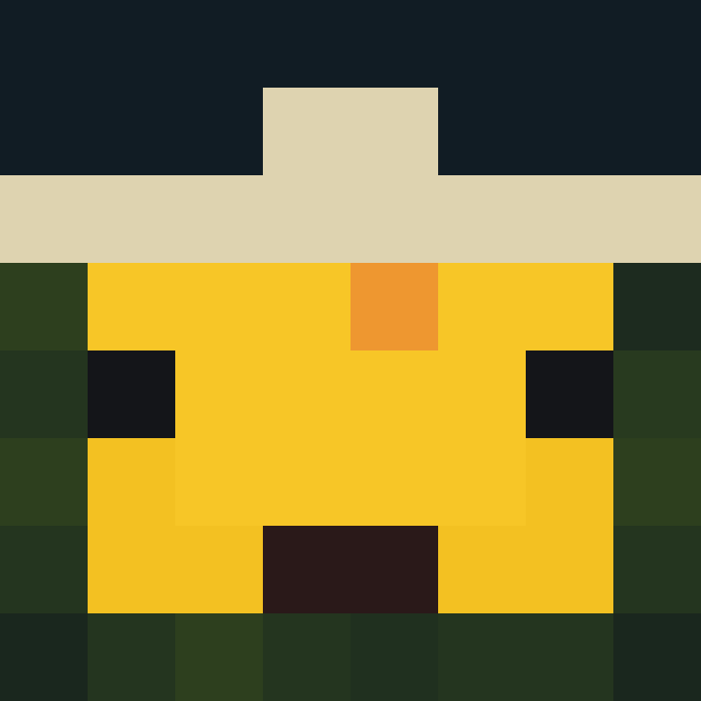 h4yl33's skin