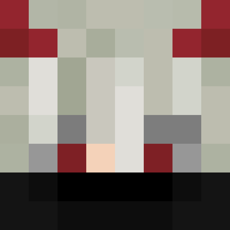 BukkitAPI's skin