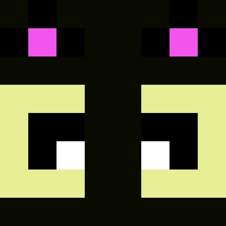 NewWorldDEV's skin