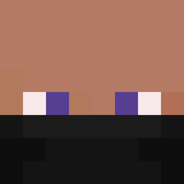 wiredframe's skin