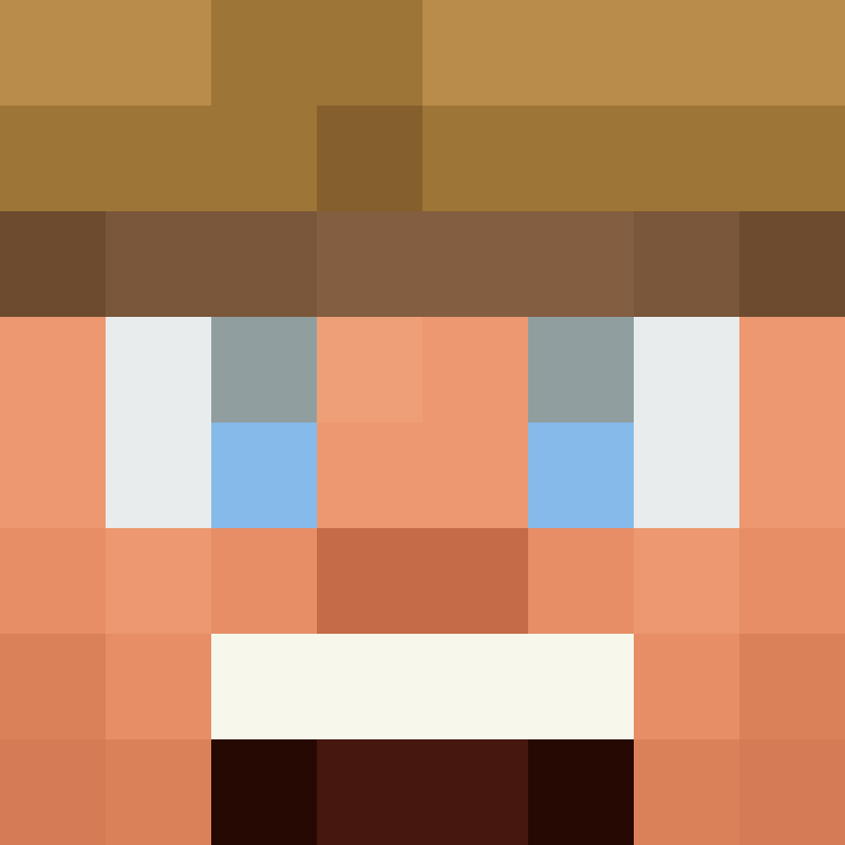 MHF_Mineskin's skin