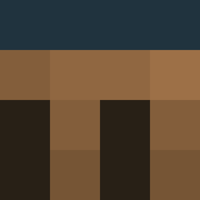 _pakman_'s skin
