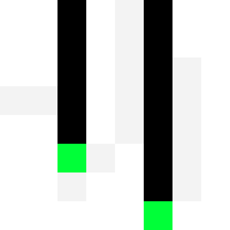 GR1ZZLY180's skin