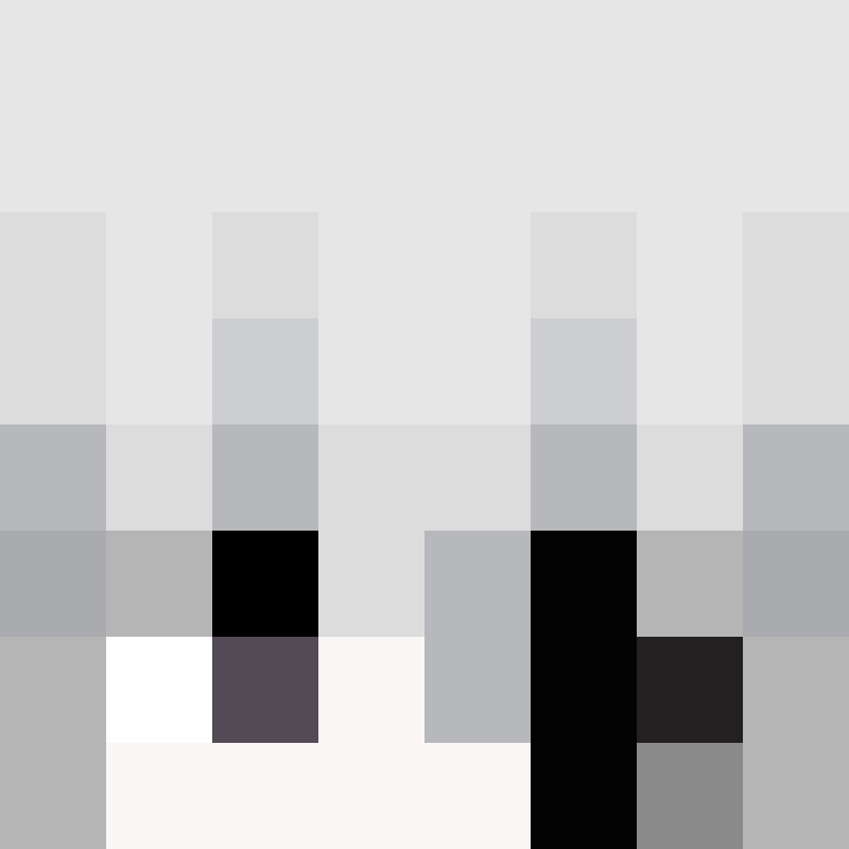 LEINSY's skin
