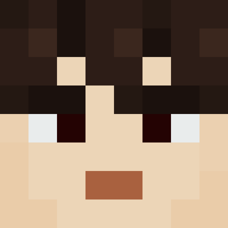 wiredframe's skin