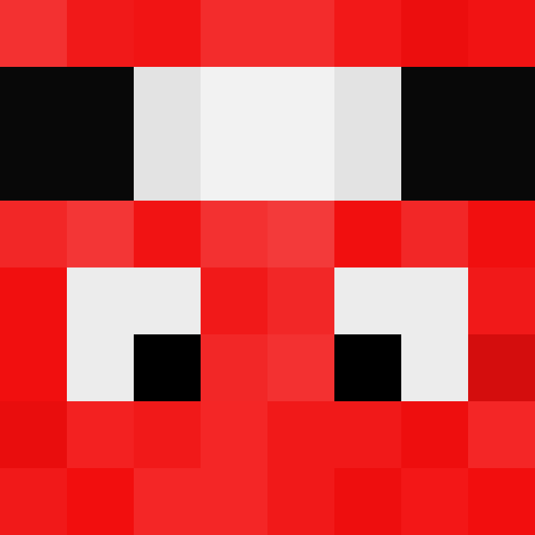 EnderXPL's skin