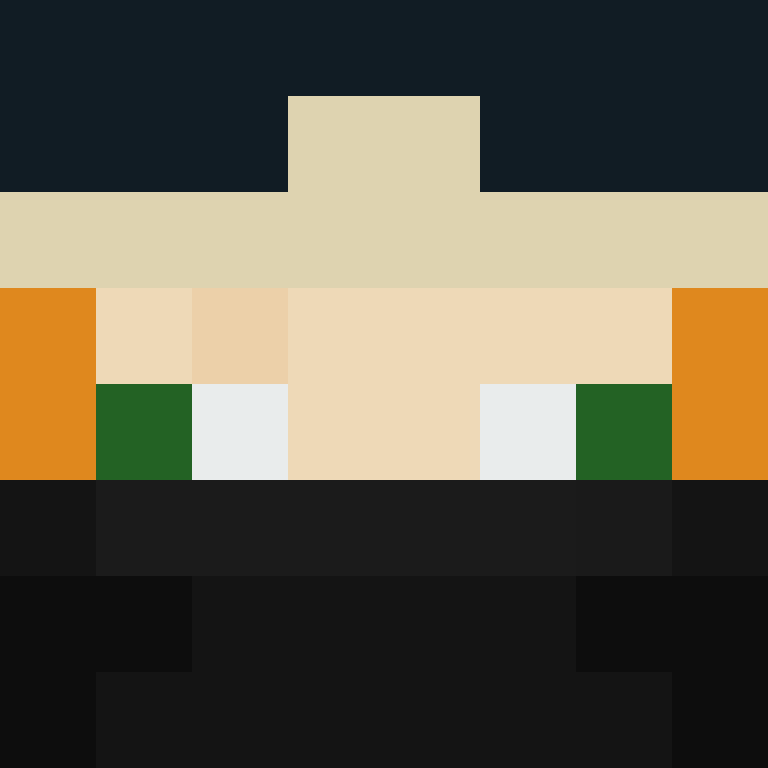 acin5's skin
