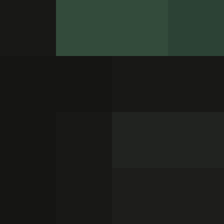 CrypticLoser13's skin