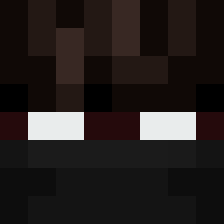 BukkitAPI's skin