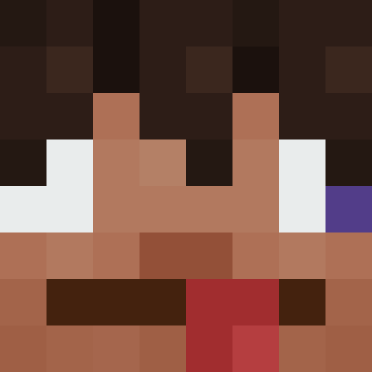 wiredframe's skin