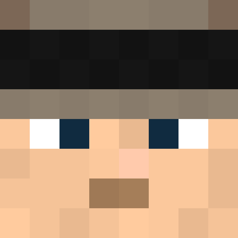 JediNinja100's skin