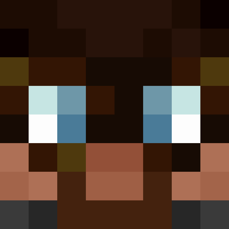 BukkitAPI's skin