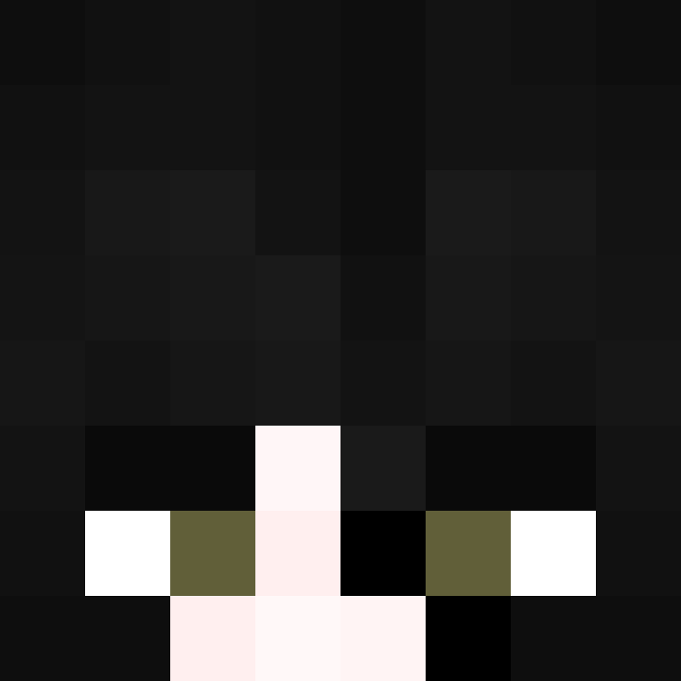 BukkitAPI's skin