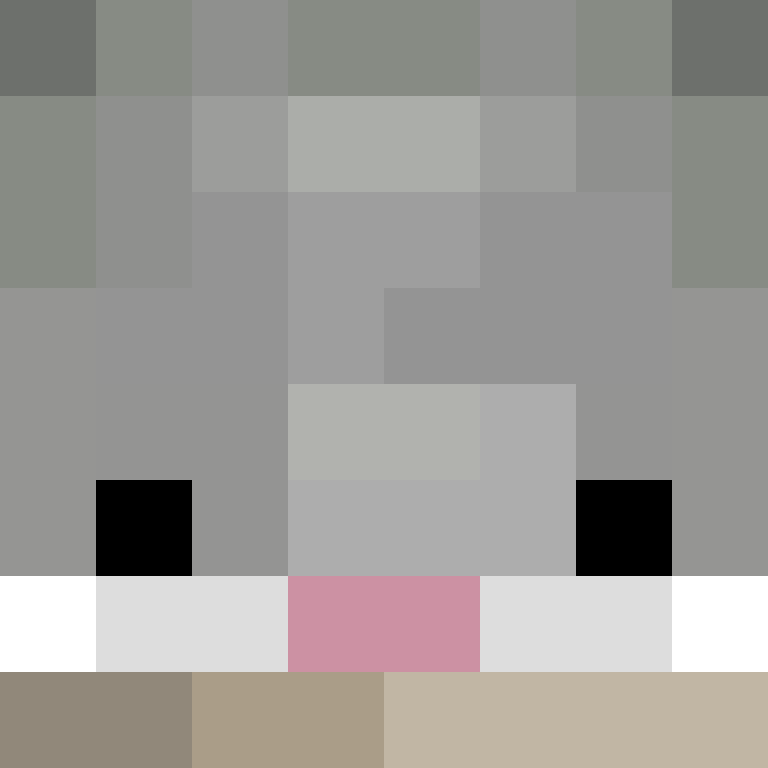 dragloner's skin