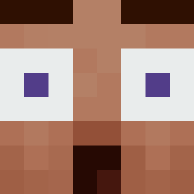 wiredframe's skin