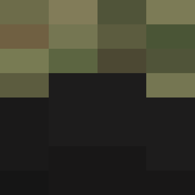 h4yl33's skin